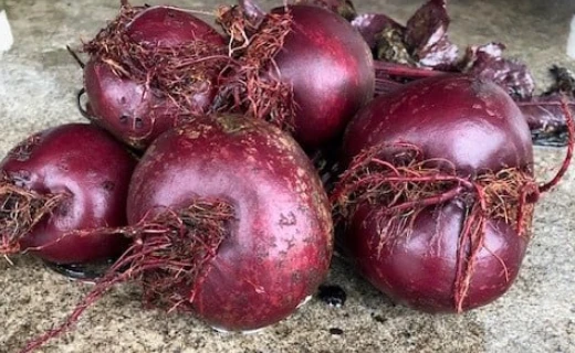 Biologische Rode Bieten Grote Wiede