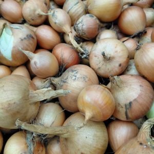 Gele Ui (per kg)