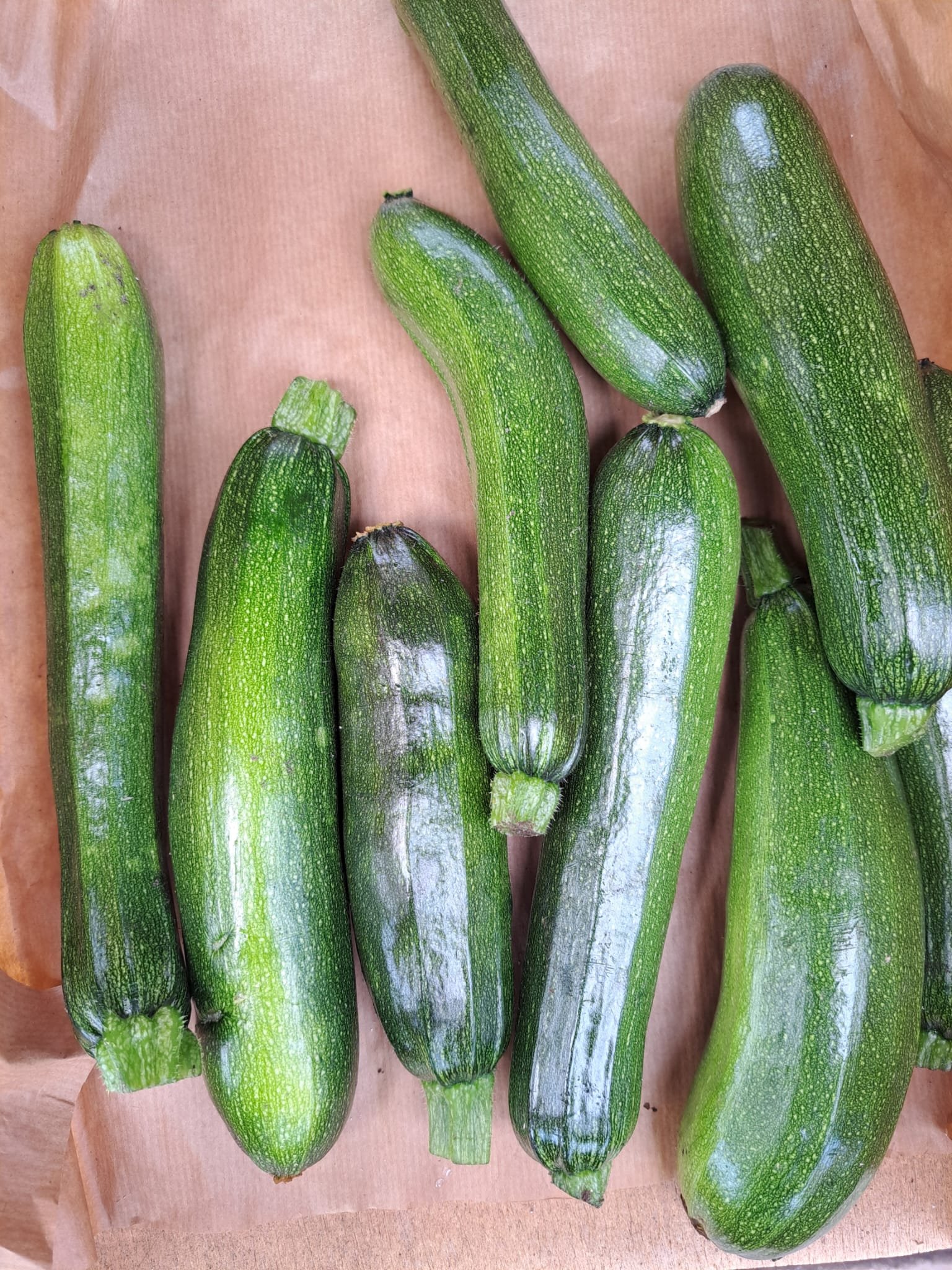 Courgette - Afbeelding 3