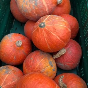 Oranje pompoen