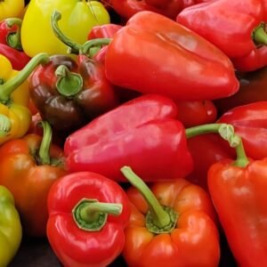 Paprika
