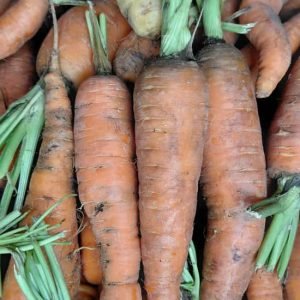 Winterwortels (per kg)