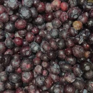 Blauwe Bessen 500gr